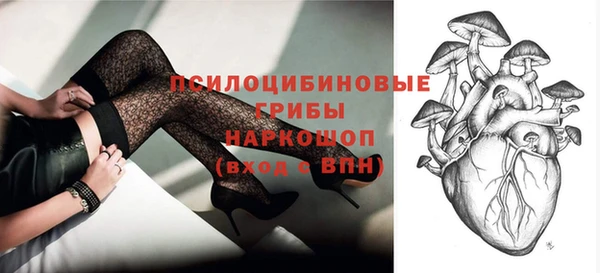 молекула духа Аркадак